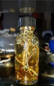 Sexual Submission Influence Oil - For Gay Men and Lesbian Women -