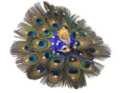 Peacock Feather Dress Poshak for Laddugopal ji Kanha ji SIZE 03 US
