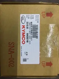 在飛比找Yahoo!奇摩拍賣優惠-噴射節流閥總成 電腦節流閥組ECU  光陽V2  16100