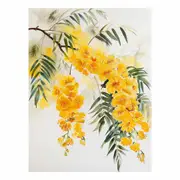 Acacia Canvas Print