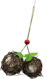 BCOATH 1pc Wild Bird Nest Material Bird Cage Accessories Parrot Cockatiels Bird Shredder Guinea Pig Hammock Bird House Nests Bird Parrot Nest for Garden Long Staple Cotton