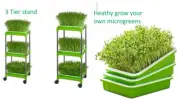3 Layers Seed Sprout Tray with Stainless Steel Shelf Healthy microgreens sprouts