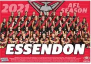 Essendon bombers Team poster, AFL football,Sydney swans,Geelong cats,pies book