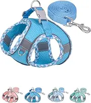 Petank Dog Harness for Small Medium Dogs No Pull, Puppy Harness and Leash Set, Step in Dog Harness for Walking, Running, Training, Small Dog Vest(Bule, XXS)