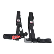 Simpson Performance Products D3 Bolt-In Safety Harness with Pads 2" Black For