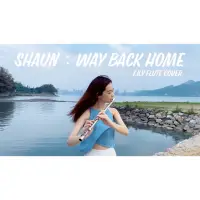 在飛比找蝦皮購物優惠-Way back home 長笛姐姐演奏樂譜