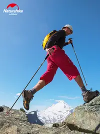 在飛比找松果購物優惠-Naturehike挪客ST08碳纖維四節登山杖折曡碳素手杖