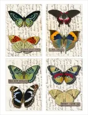 Butterfly Collage Junk Journal Ephemera Scrapbooking Card Toppers Journal Cards
