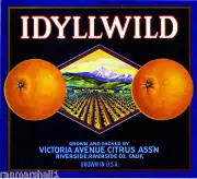 Riverside Idyllwild Orange Citrus Fruit Crate Label Art Print