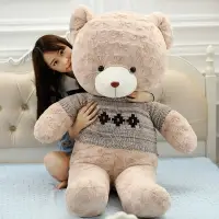在飛比找樂天市場購物網優惠-毛絨玩具泰迪熊玫瑰絨毛衣抱抱熊大號熊貓玩偶布娃娃生日禮物送女