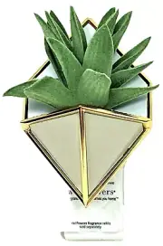 Bath & Body Works Succulent Wallflower Plug In Diffuser Beige Gold