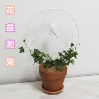 在飛比找momo購物網優惠-【品屋】花盆爬架(爬藤架 花盆爬架 植物爬架 月季花爬架 龜