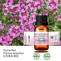 在飛比找Yahoo!奇摩拍賣優惠-【芳香療網】Tea Tree - Melaleuca alt