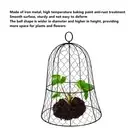 Garden Chicken Wire Cloche Plant Protector 10 Pack Thickened Construction Cover