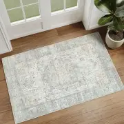 2x3 Entryway Rug Vintage Area Rug Light 2' x 3' (Rectangular) D| Light Green