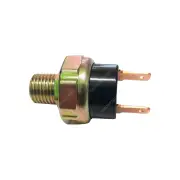 Airone 12v Pressure Switch 150-180psi for Airtanks and on-board air systems