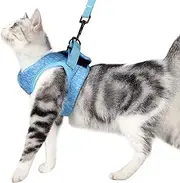 Poiinvc Escape Proof Cat Harness Set with Cat Leads, Durable Kitten Harness and Lead, Comfortable Collar Harness Combination for Cats and Kittens, Blue, M