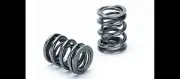 Supertech SPR-M1007D-3 Dual Valve Springs Kit