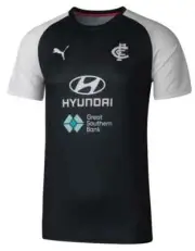 Carlton Blues 2023 AFL Mens Training Shirt Sizes S-7XL BNWT