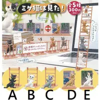 在飛比找蝦皮購物優惠-Yumeya 貓咪桌上擺飾公仔 梯子 攀爬 全5種 轉蛋 扭