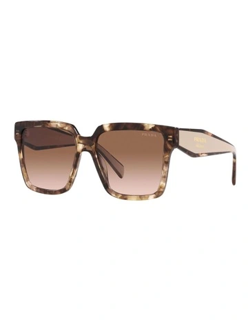 [Prada] PR 24ZS Tortoise Sunglasses in Brown