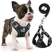 rennaio Dog Harness No Pull, Adjustable Puppy Harness with 2 Leash Clips, Ultra Breathable Padded Dog Vest Harness, Reflective Dog Harness and Leash Set for Small and Medium Dogs (Black, S)