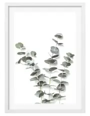 [Profile Australia] Australian Made Eucalyptus Foliage Art Print A2 in White Frame