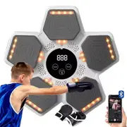 Catzon LED Music Boxing Machine with Boxing Gloves for Home Gym-White