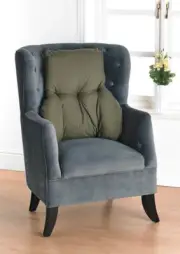 GREEN BACK SUPPORT CUSHION FOR CHAIR | Back Support Pillow | T Shaped Cushion