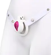 Inverted Chastity Cage SM Sex Toys Flat Chastity Cage Male Cage Chastity Device Chastity Lock Beginner Cage Beginner Device for Men