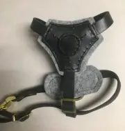 Dean and Tyler Classic Fit Small Leather Dog Harness New