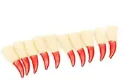 10pcs/Set Halloween Props Thriller Scary Nail Covers Claw Tips Fake Finger Nail Sets Ghost Zombie Cosplay Par Supplies Red One Size
