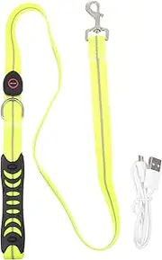 BESPORTBLE Glowing Pet Leash Led Collar for Dog Night Vision Sturdy Dog Pulling Rope Pet Walking Lead
