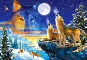 Castorland Howling Wolves 1000 Piece Jigsaw Puzzle