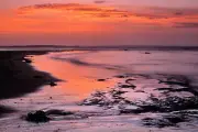 Seascape Print Long Reef Fruity Affair by Jeff Grant