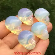 5pcs opalite quartz skull quartz crystal carved 1" skull polished healing reiki