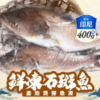 在飛比找生活市集優惠-【饗讚】鮮凍寶石石斑魚(400g)