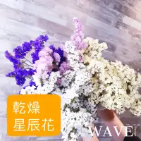 在飛比找蝦皮購物優惠-《 WAVE Design 》現貨 星辰花 乾燥花材 天然乾