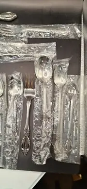VTG 14 PC lot Oneida RAPHAEL Distinction Deluxe Silverware NEW