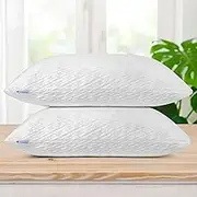 2 Pack Queen Size Rayon Derived from Bamboo Pillows, Cooling Shredded Memory Foam Bed Pillow Sets for Side, Back, Stomach Sleepers, Adjustable, Washable Cover, Queen (Pack of 2)