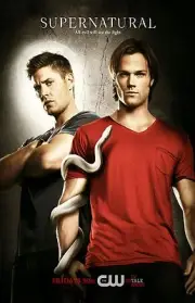 Supernatural poster (d) - 11 x 17 inches - Jared Padalecki, Jensen Ackles
