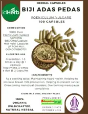 Capsules of Pure Foeniculum Vulgare Common Fennel 100% Natural Organic Herb