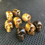 Natural Tiger eyes Carved Skull Quartz Crystal Skull Healing 5pc