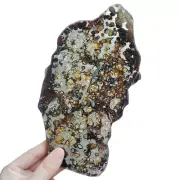 192.4g Brenham pallasite Meteorite slice - from USA TA105