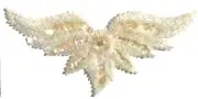 White Wings Large Beaded Sequined Sewing Sew-On Applique Craft Patch Vintage