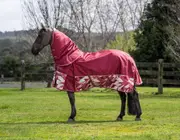 Caribu Alpine Gusset XL Detach-a-Neck Horse Rug 200g Fall Mood - 5.9FT / Fall Mood