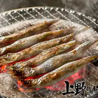 在飛比找PChome24h購物優惠-【上野物產】加拿大進口 新鮮急凍柳葉魚（200g±10%/包