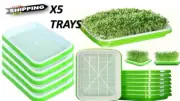 Seed Sprouting Tray Cultivation Tray,Breathable. Grow your Sprouts / Microgreens