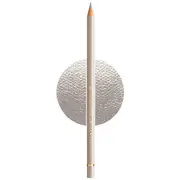 Faber-Castell Polychromos Pencil Warm Grey III 272
