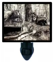 Decorative Photo Night Light, Forgotten Friends, Junk Yard, Vintage